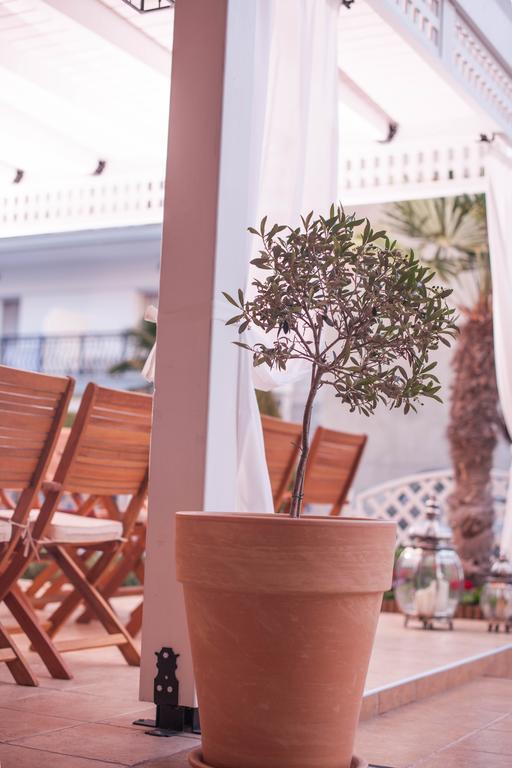 Paralía Hotel Vizantio מראה חיצוני תמונה